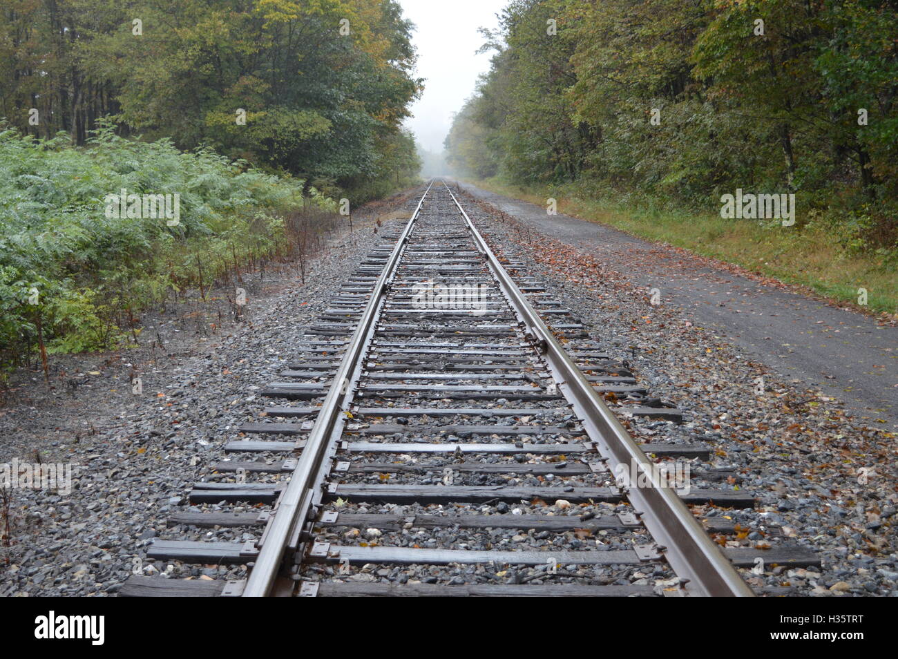 I binari della ferrovia del Western Maryland Scenic Railroad in Cumberland, Allegany County Maryland. Le rotaie parallele convergono. Foto Stock