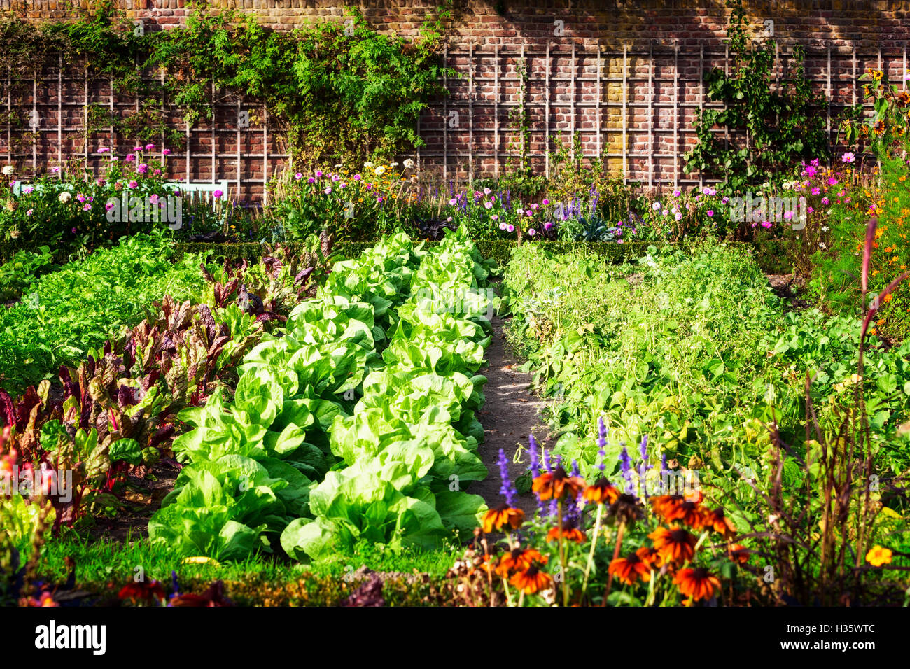 Orto in tarda estate. Erbe, fiori e verdure in cortile giardino formale. Eco Friendly giardinaggio Foto Stock