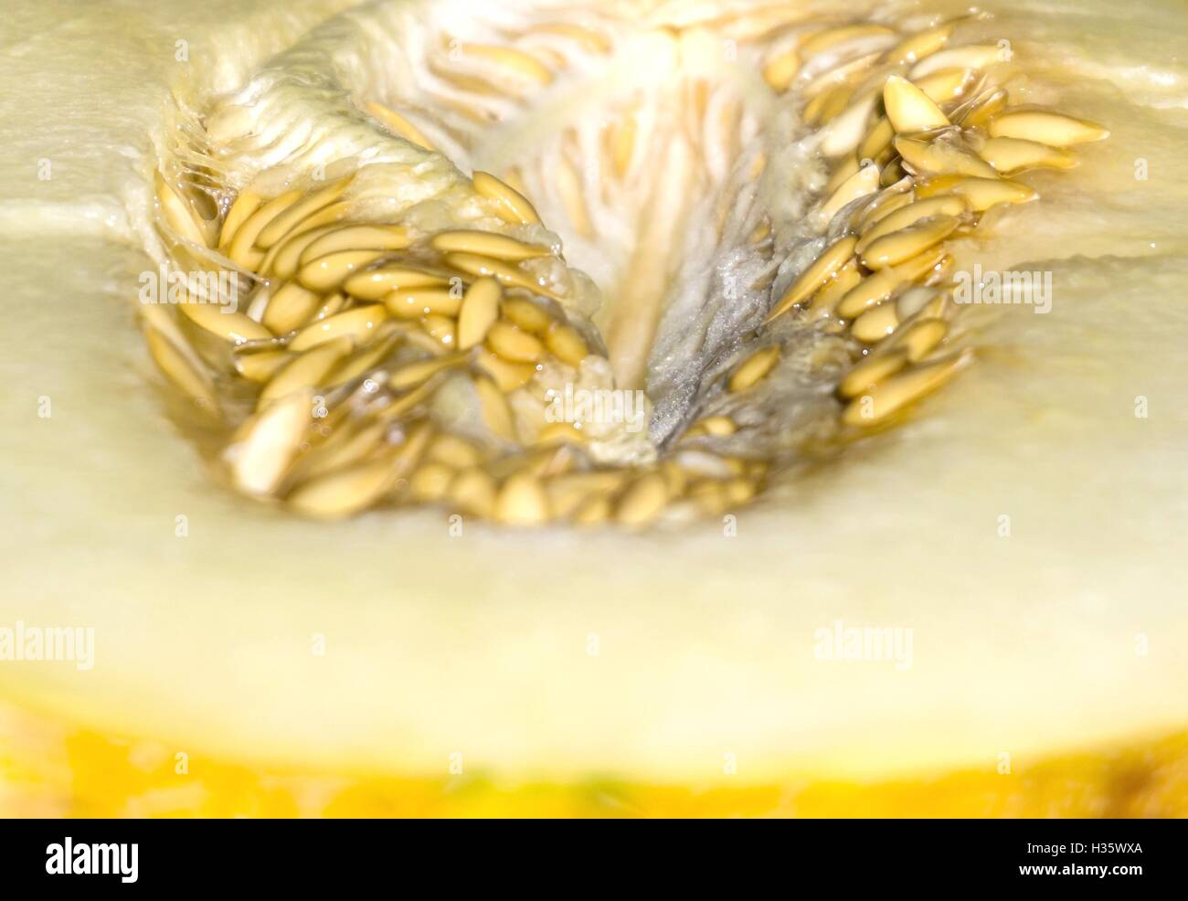 Close-up di melone al miele Foto Stock