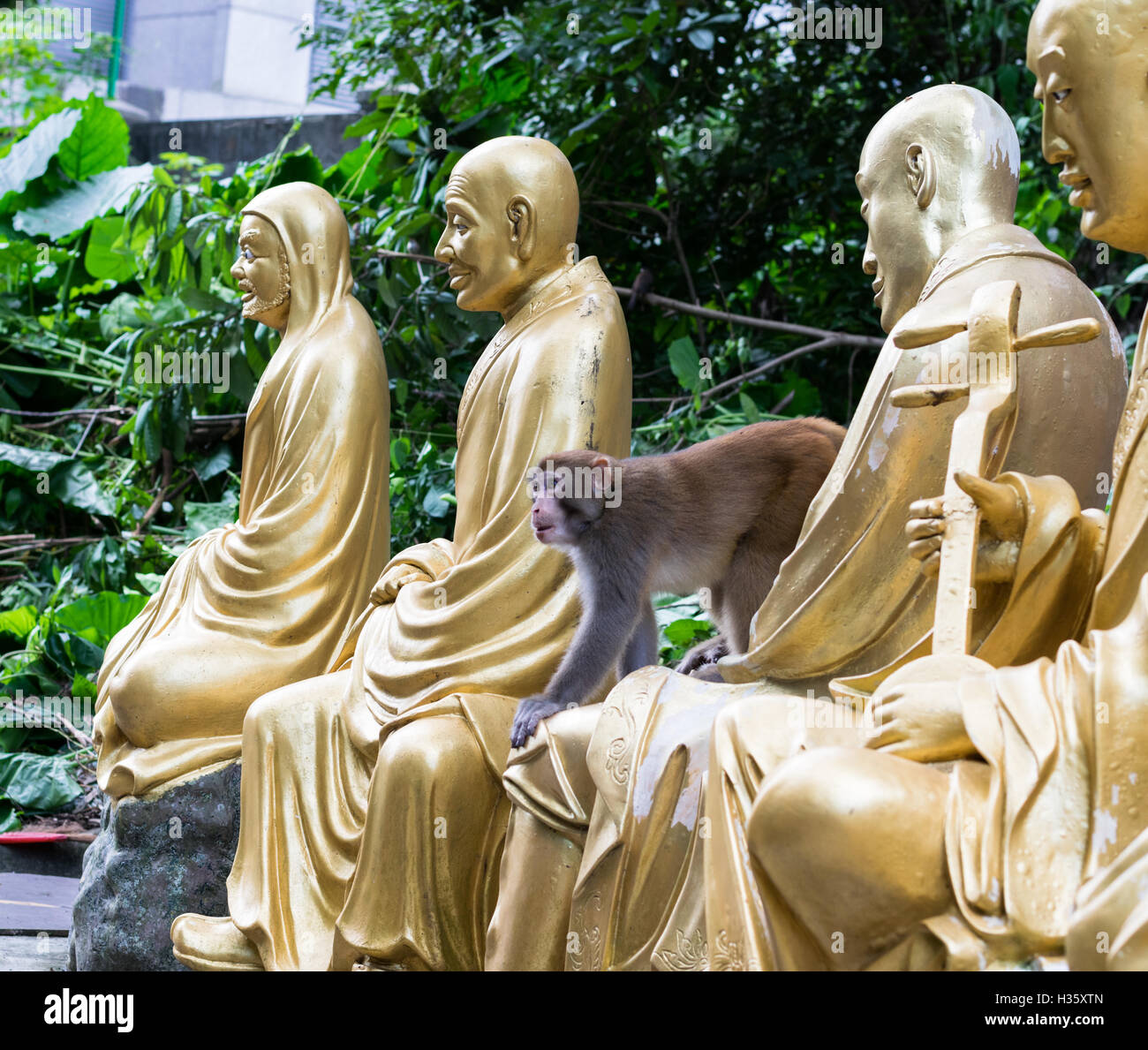 Wild macaco rhesus tra statue a Diecimila Buddha Monastero di Hong Kong Foto Stock