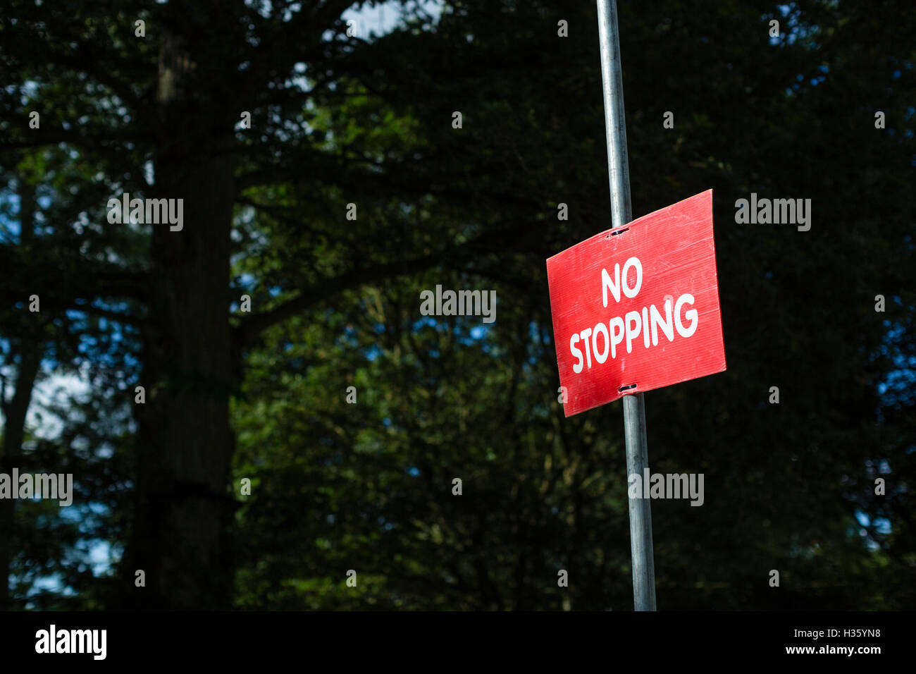 Nessun segno di arresto su un post. Foto Stock