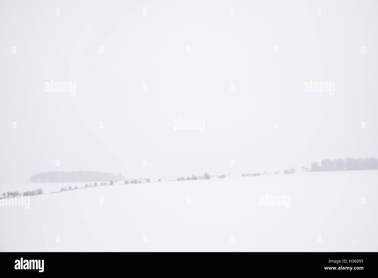 Campi coperti di uno strato di neve in questo fosco panorama inverni con debole grumi di alberi e linee di hedge shwoing attraverso la campagna congelati. Foto Stock