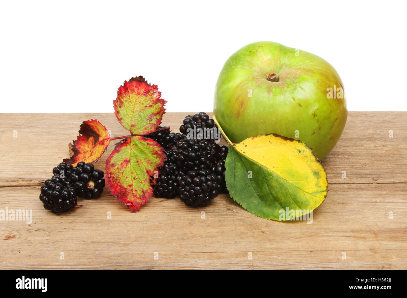 Autunno frutta, more e Bramley apple con foglie autunnali su legno rustico contro uno sfondo bianco Foto Stock