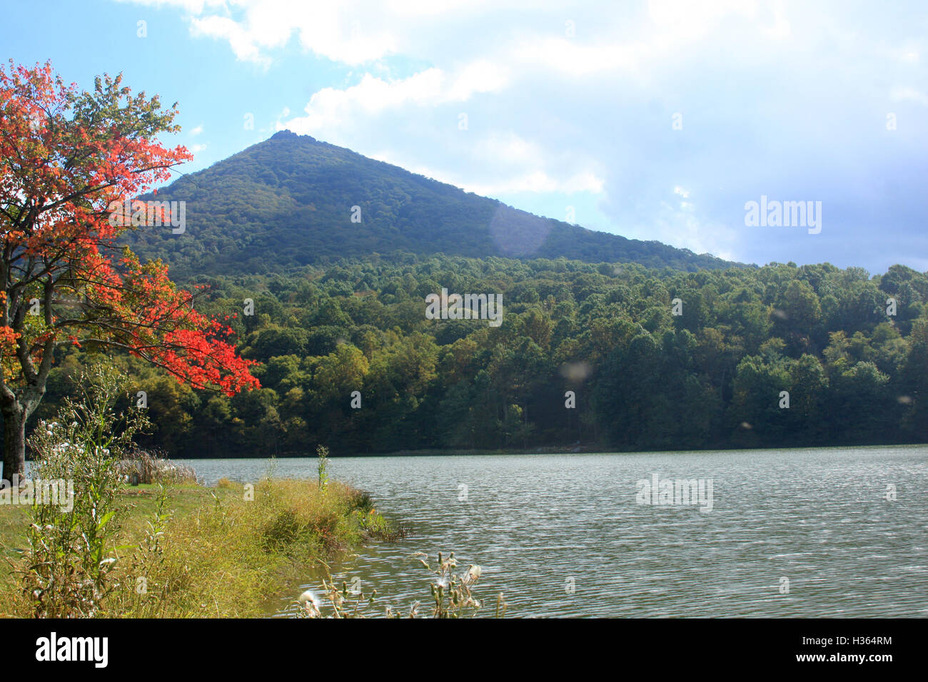 Virginia, Stati Uniti d'America. Vista del lago di Abbott e Sharp Top in autunno. Foto Stock