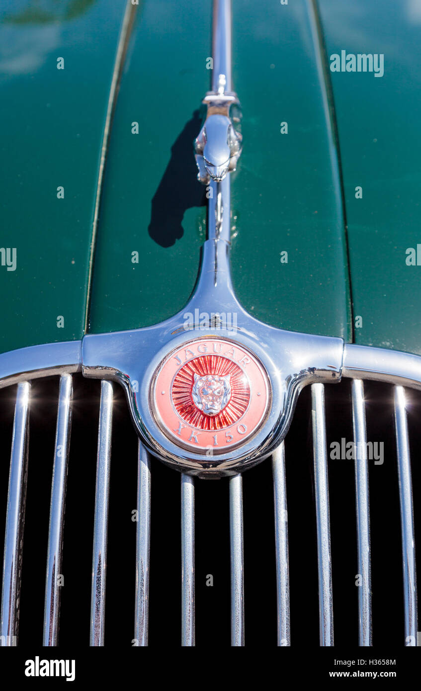 Laguna Beach, CA, Stati Uniti d'America - 2 Ottobre 2016: Verde 1958 Jaguar XK 150 di proprietà di Hathaway e visualizzati al Rotary Club di Laguna B Foto Stock