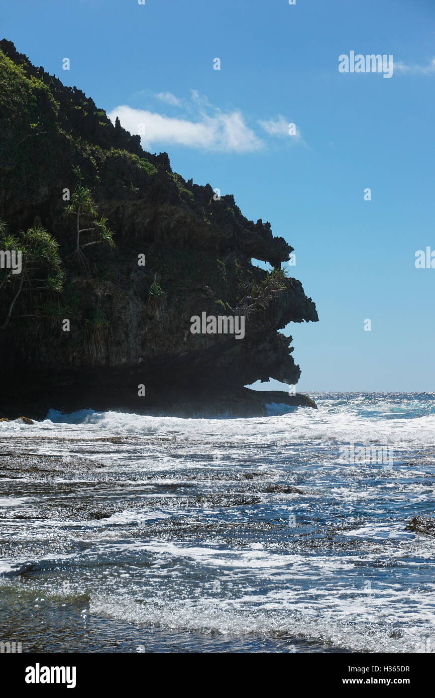Roccioso riva del mare con la formazione naturale che si preannuncia come un mostro di testa, Rurutu island, oceano pacifico del sud, Polinesia Francese Foto Stock