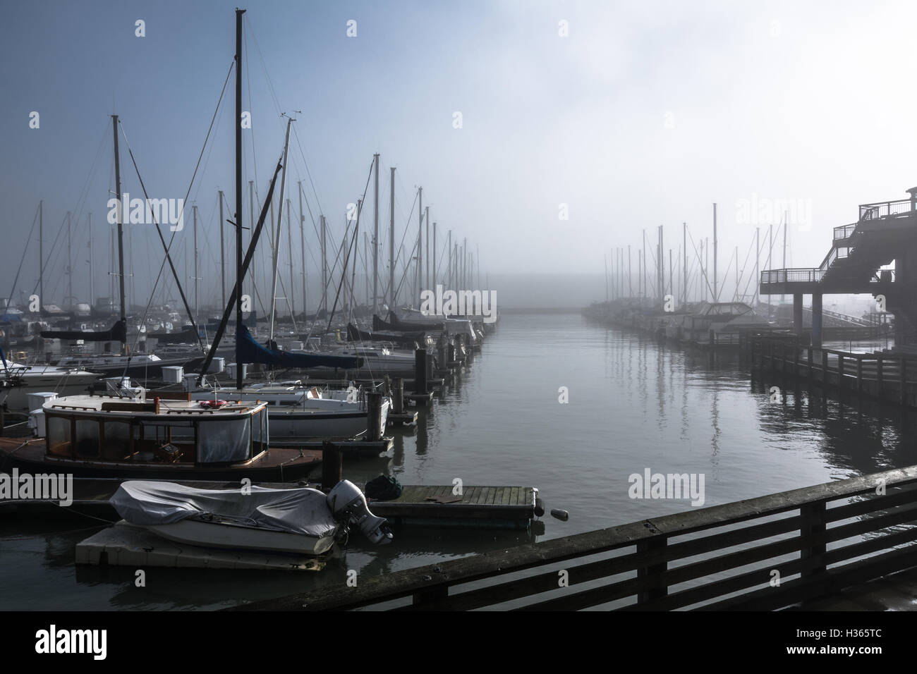 Vista di una partita di avena nel porto di un nebbioso giorno di San Francisco Foto Stock