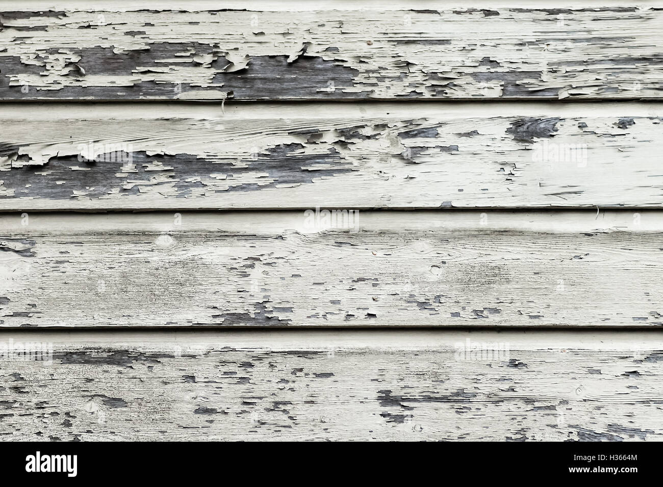 Pannello in legno texture di sfondo dolore peeling grunge ruvida Foto Stock