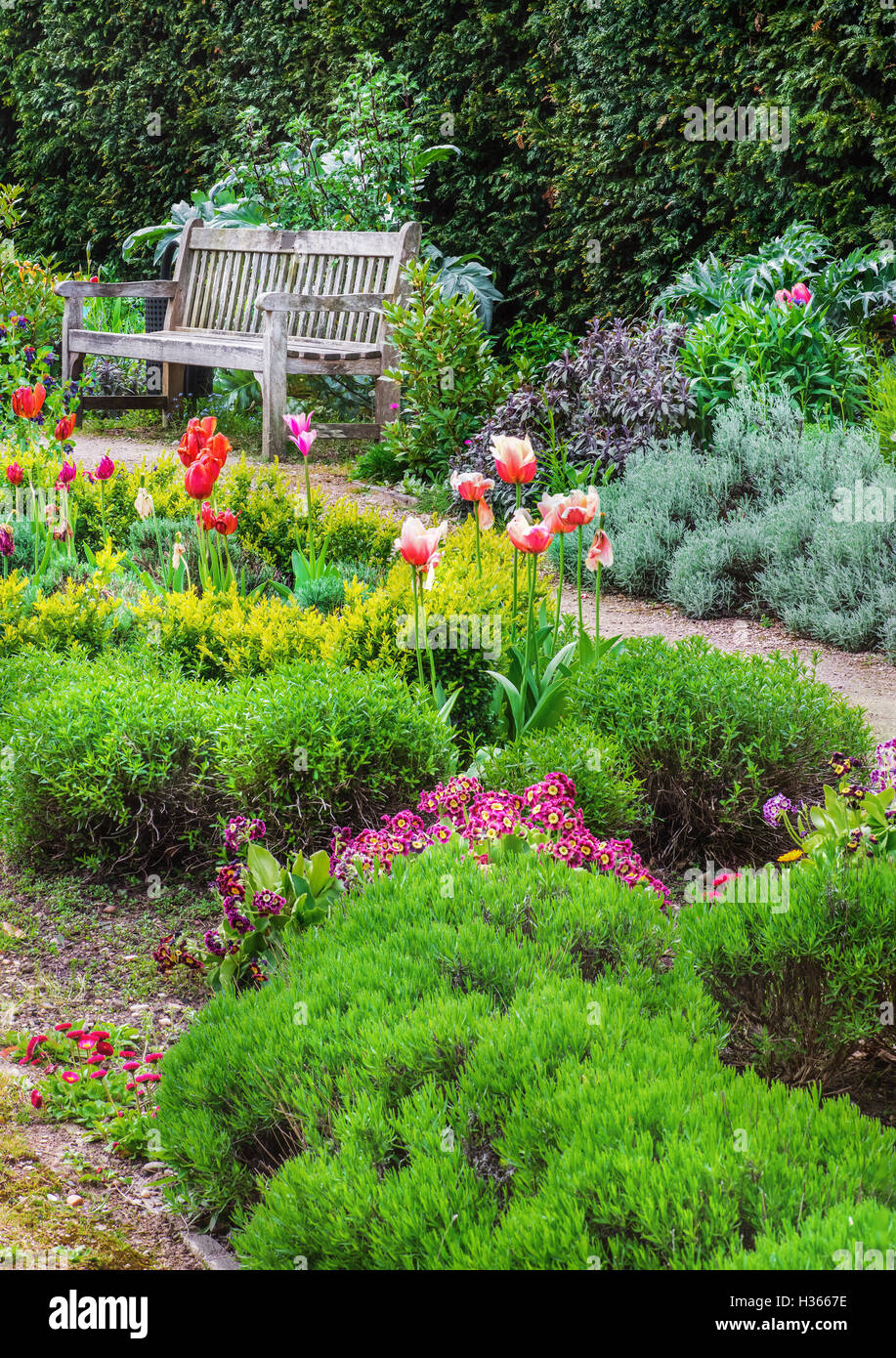 Giardino inglese con un percorso a piedi che conduce al banco vuoto Foto Stock