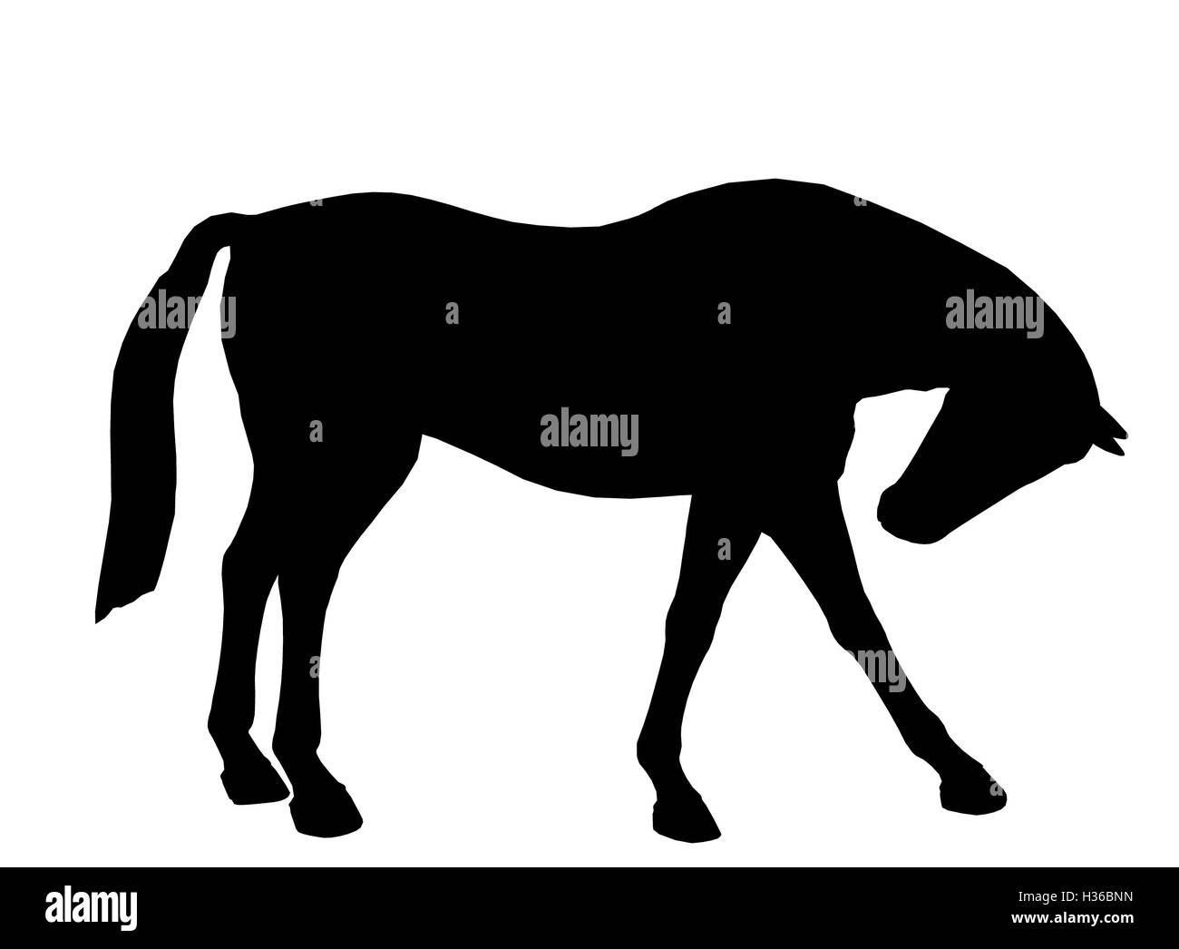 Illustrazione di cavallo Silhouette Foto Stock