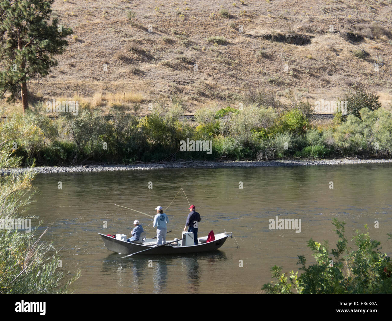 Pesca a mosca, Yakima River, Stato di Washington orientale. Foto Stock