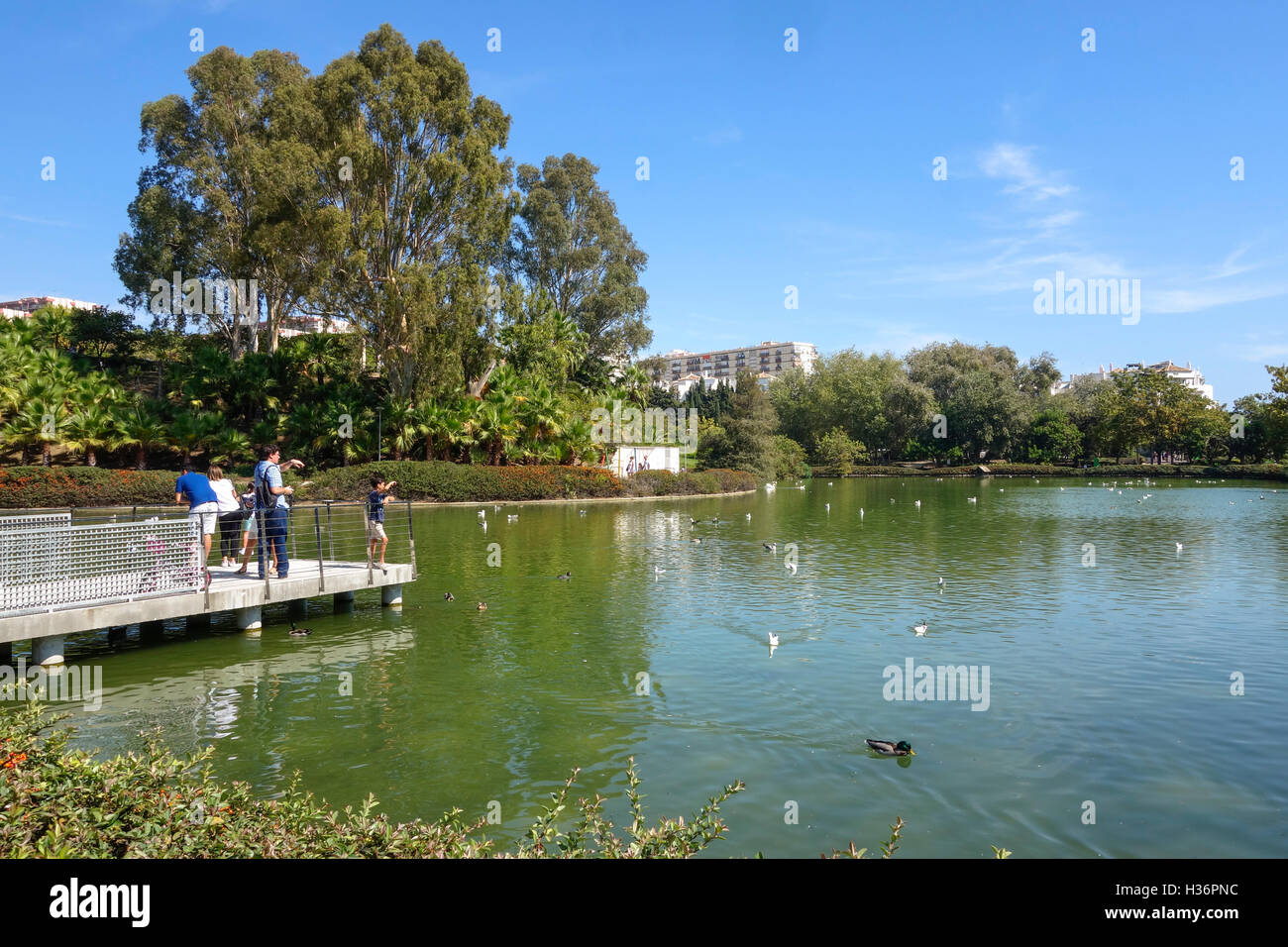 Lago artificiale nel Parque Paloma, Paloma park, Benalmadena, Spagna. Foto Stock
