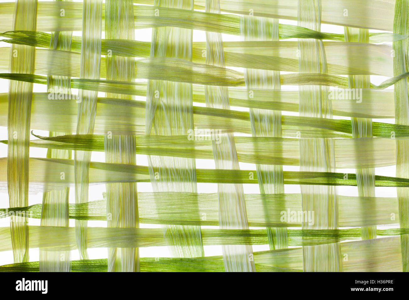 Corn buccia di vimini patern su bianco Foto Stock