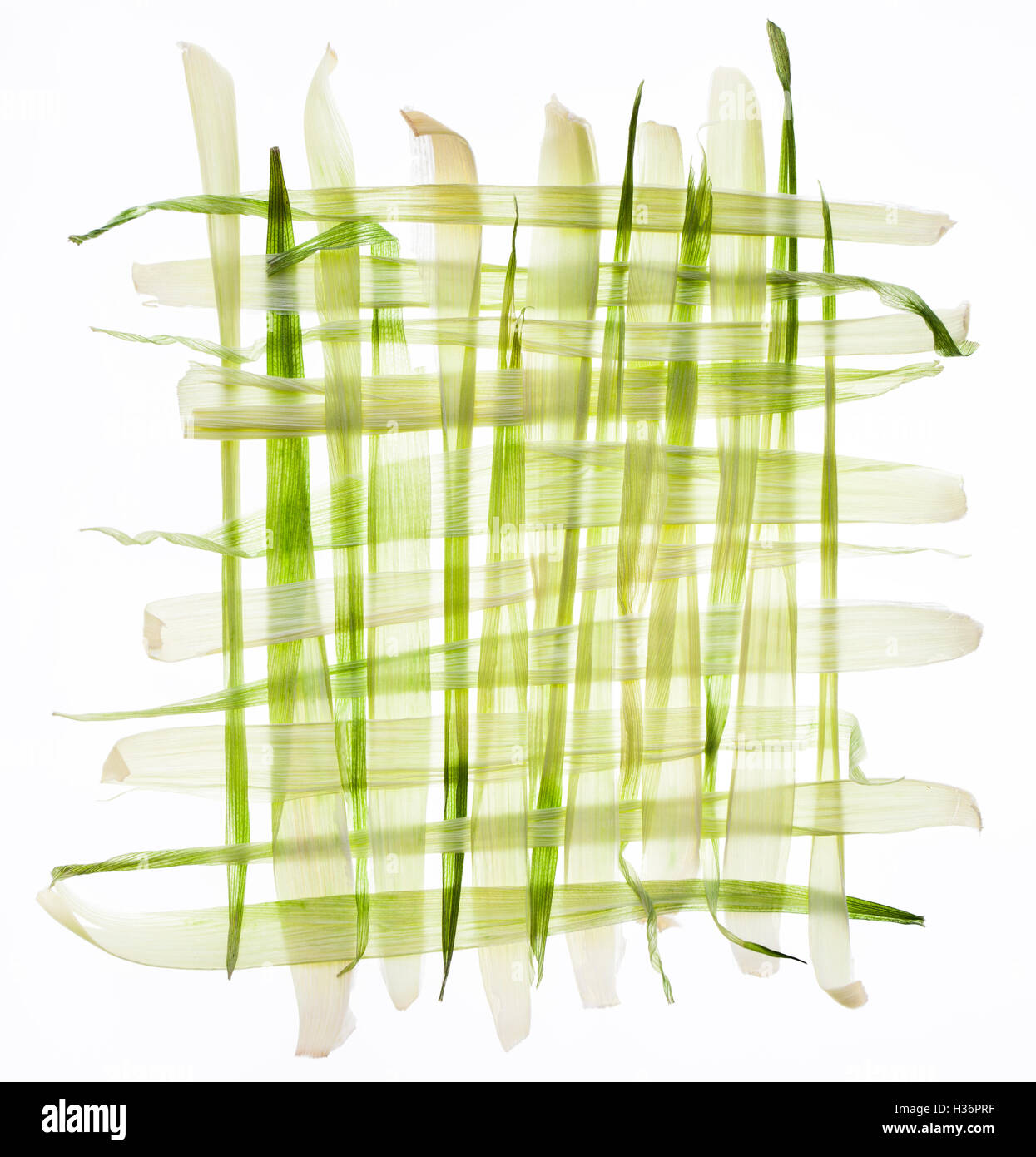 Corn buccia di vimini patern su bianco Foto Stock