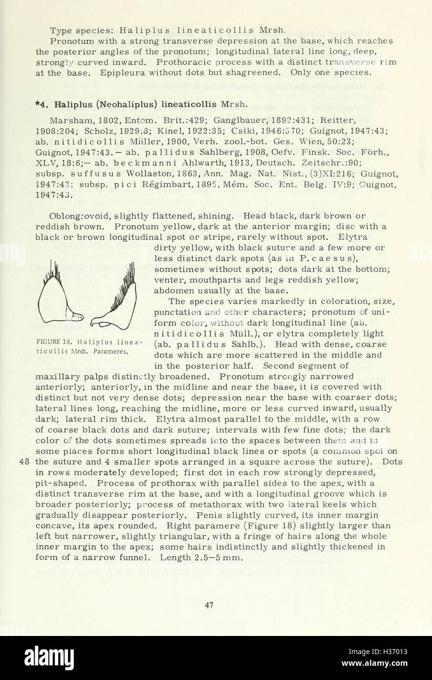 Questo studio descrive in dettaglio le specie di coleotteri (Coleoptera) che si trovano negli Stati Uniti, fornendo l'identificazione, l'habitat e le informazioni ecologiche. Foto Stock