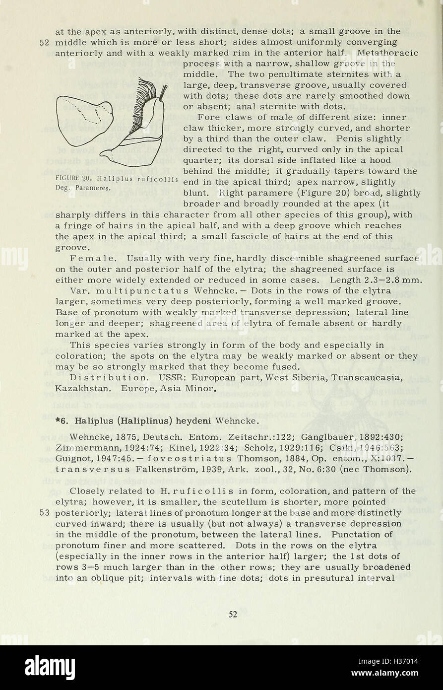 Questo libro discute la diversità dei Coleopteri (coleotteri) che si trovano negli Stati Uniti, coprendo la loro classificazione, i loro ruoli ecologici e la loro distribuzione. Foto Stock