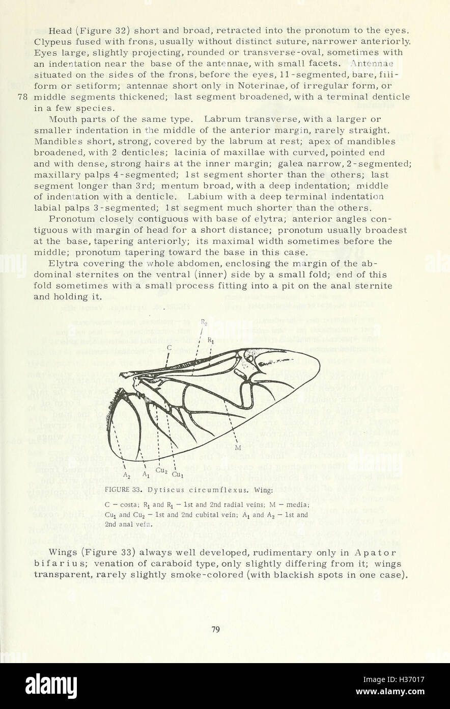 Questo lavoro si concentra sulle specie di Coleoptera che si trovano in tutta l'ex Unione Sovietica, descrivendo dettagliatamente la loro classificazione, gli habitat e il significato ecologico. Foto Stock