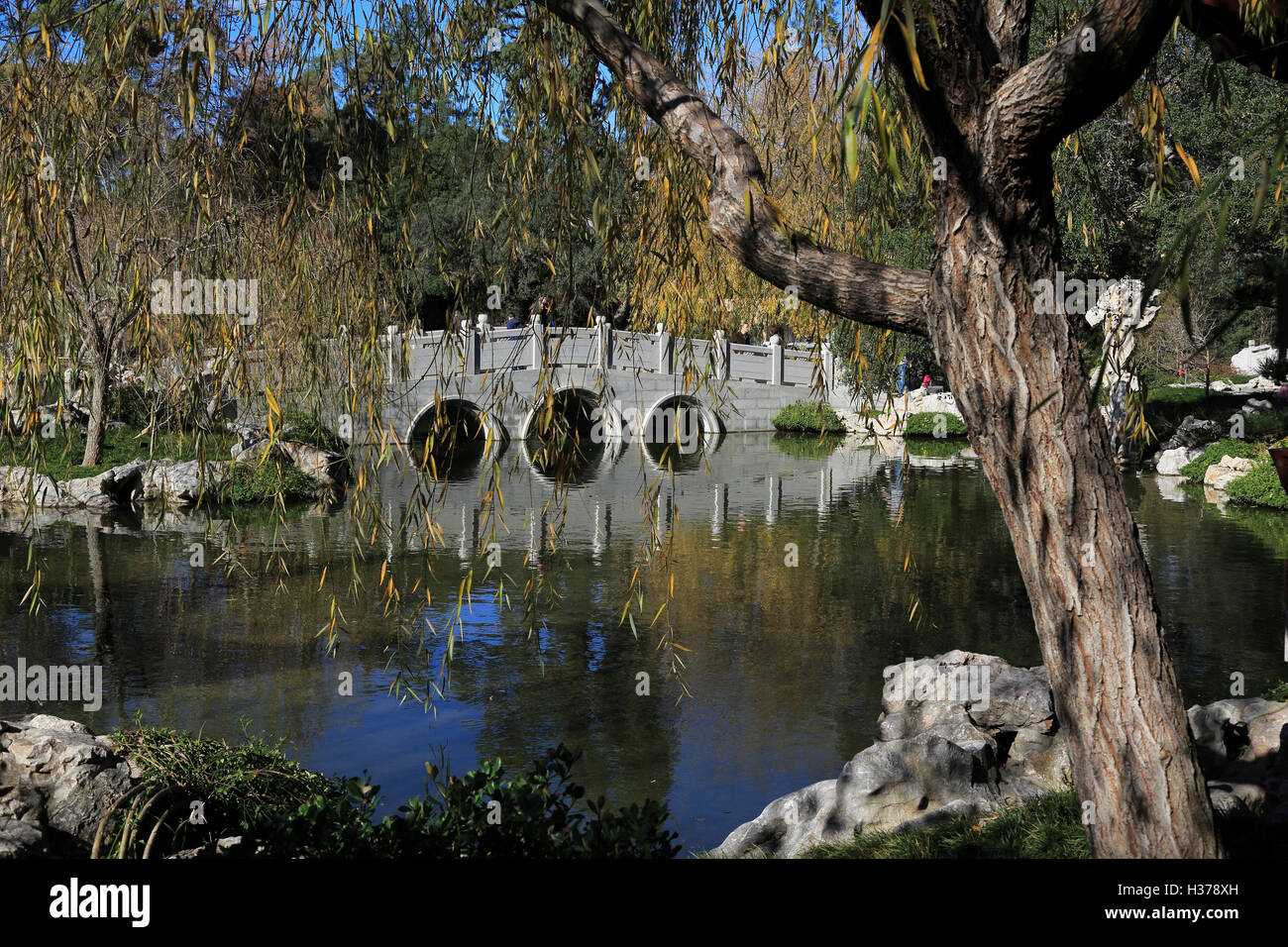 Jade Ponte a nastro nel giardino della fragranza che scorre a Huntington Library.San Marino.California.USA Foto Stock
