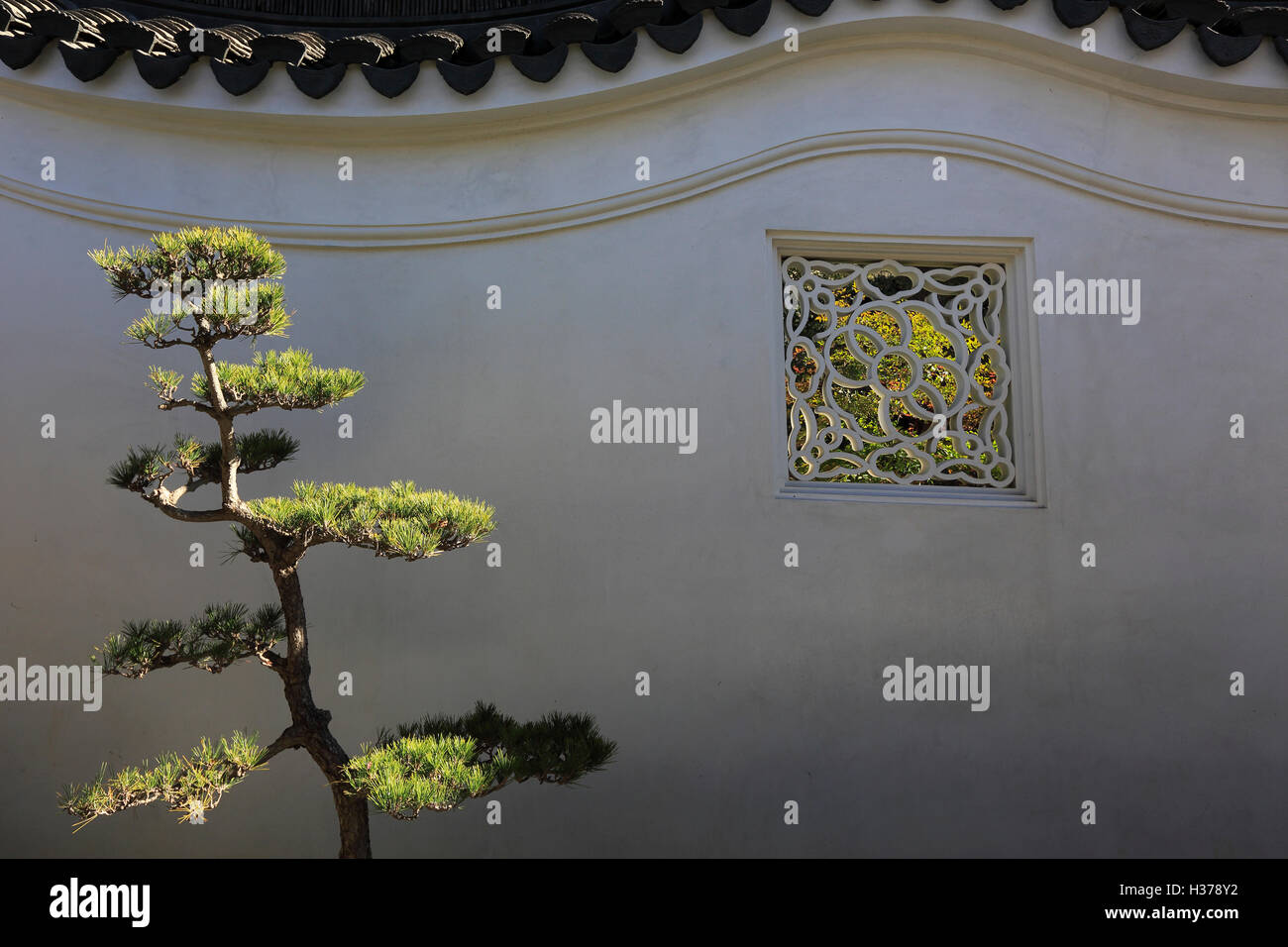 Parete del le nuvole colorate presso il giardino di fragranza che scorre alla Biblioteca di Huntington e Giardino Botanico.San Marino,California, Foto Stock