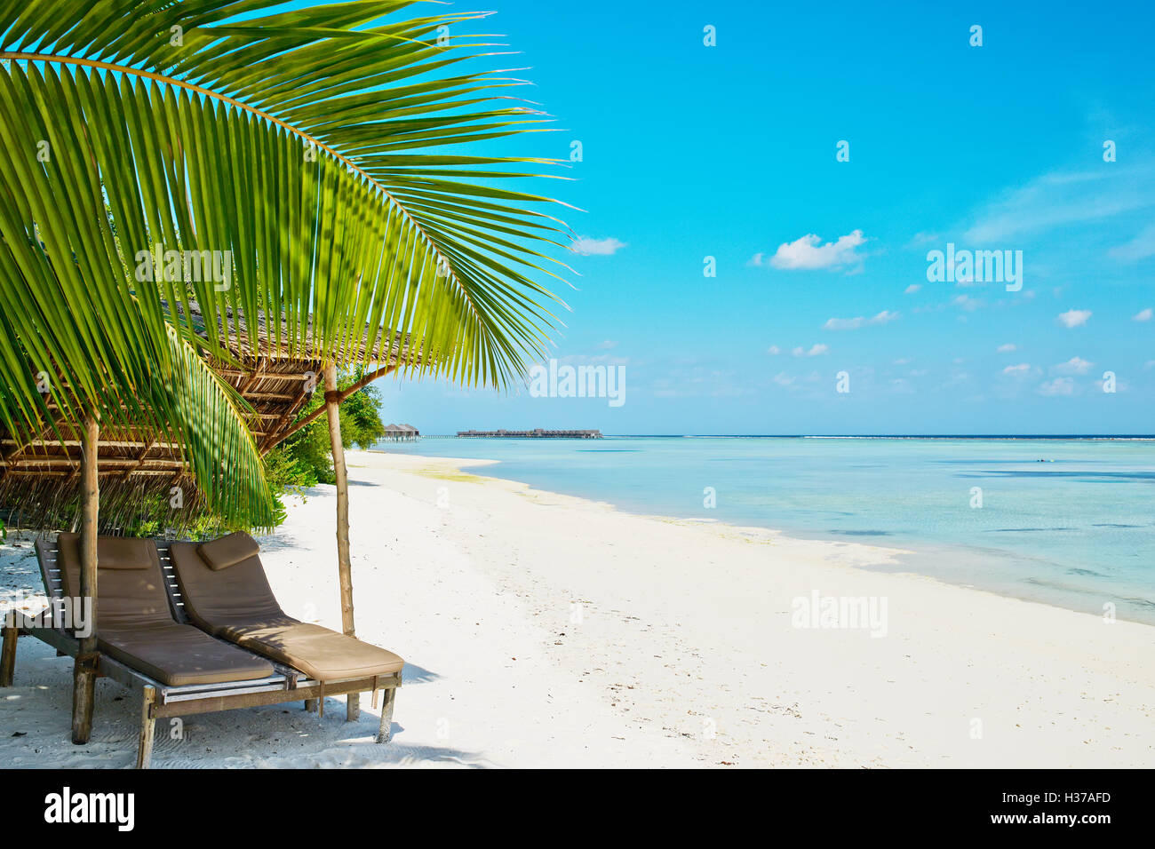 Bellissima spiaggia di Maldive Foto Stock