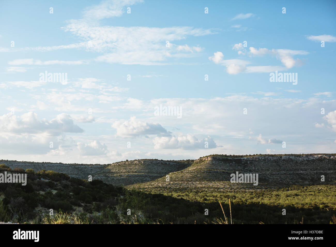 Collinare della campagna del Texas Foto Stock