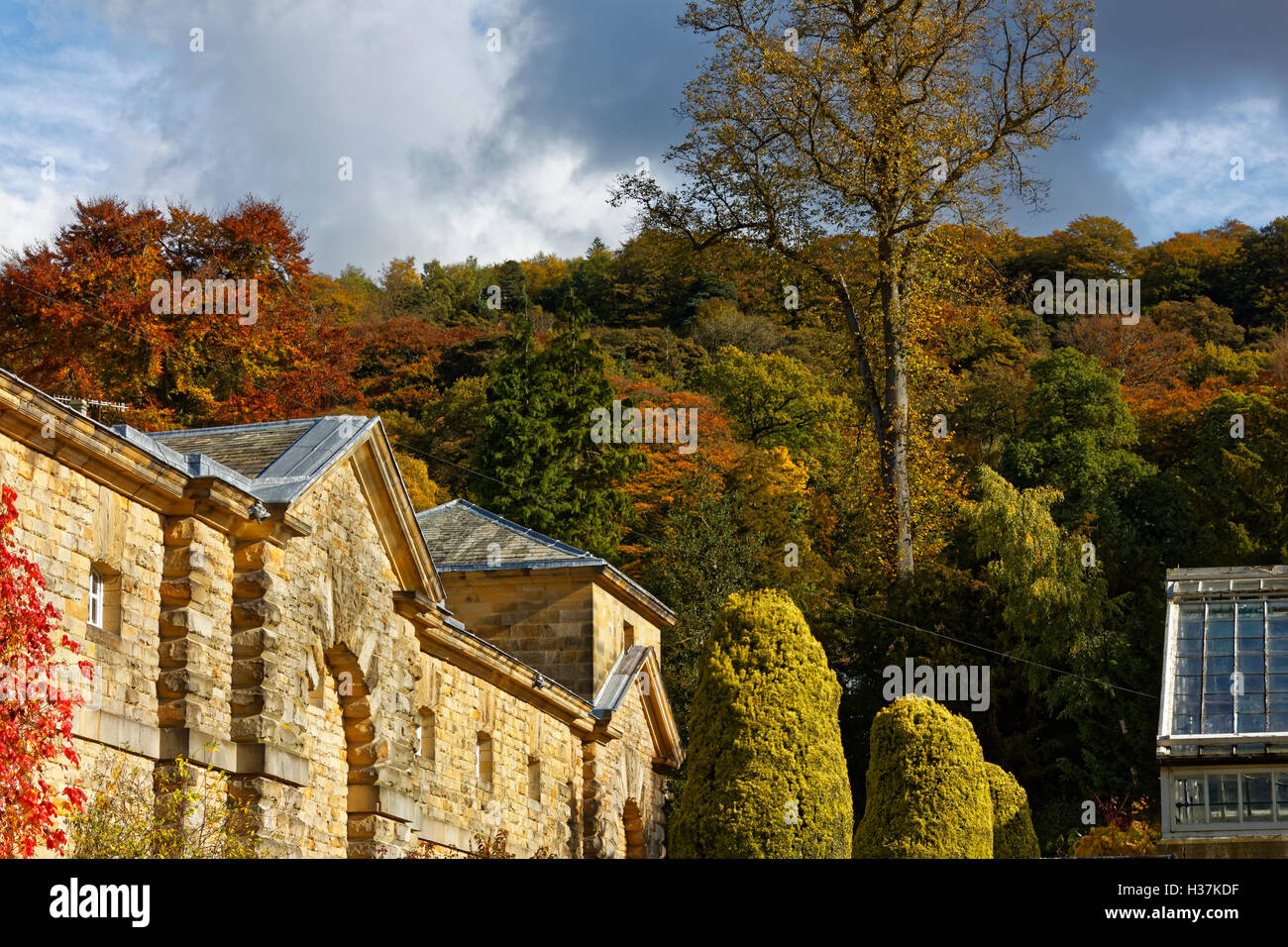 In autunno gli alberi e i colori. Ricchi e vivaci tonalità rosse e marroni. Foto Stock