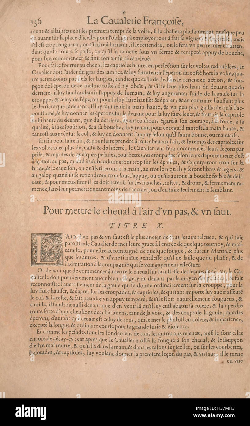 Questo lavoro esplora l'arte dell'equitazione, concentrandosi sui metodi di addestramento dei cavalli francesi e italiani. Fornisce approfondimenti sulle tecniche equestri classiche e sulle differenze culturali nell'addestramento dei cavalli in queste nazioni. Foto Stock