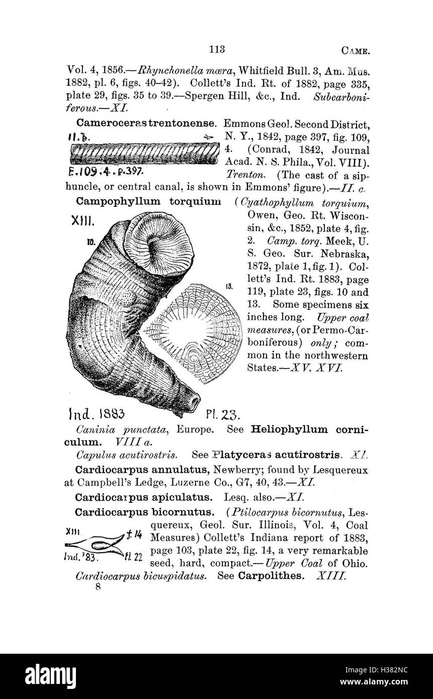 Questo dizionario fornisce un ampio elenco di specie fossili trovate in Pennsylvania e nelle aree circostanti, con descrizioni basate su indagini geologiche e rapporti di catalogo. Foto Stock