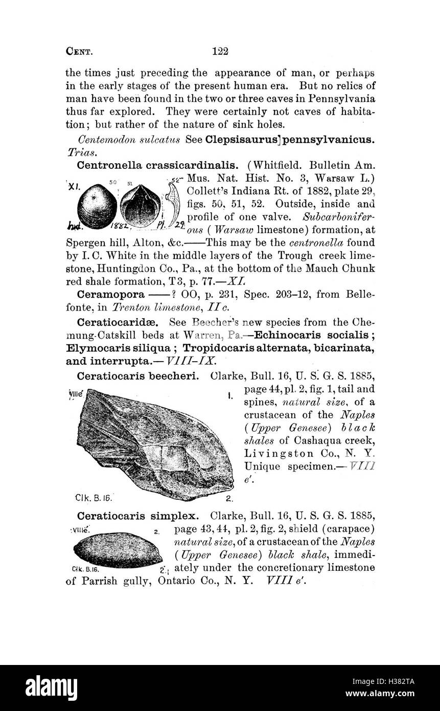 Questo dizionario raccoglie specie fossili provenienti dalla Pennsylvania e dagli stati circostanti, elencandole in base a rapporti e cataloghi provenienti da indagini geologiche, fornendo informazioni essenziali per paleontologi e geologi. Foto Stock