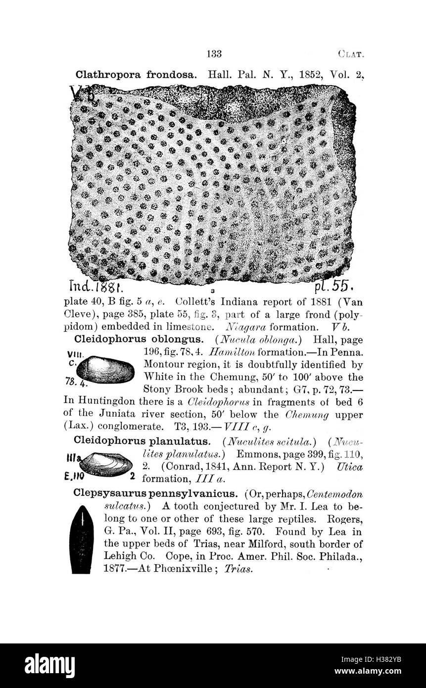 Questo dizionario cataloga le specie fossili trovate in Pennsylvania e nelle aree circostanti, sulla base di indagini e rapporti di studi scientifici, offrendo descrizioni dettagliate di ciascuna specie. Foto Stock