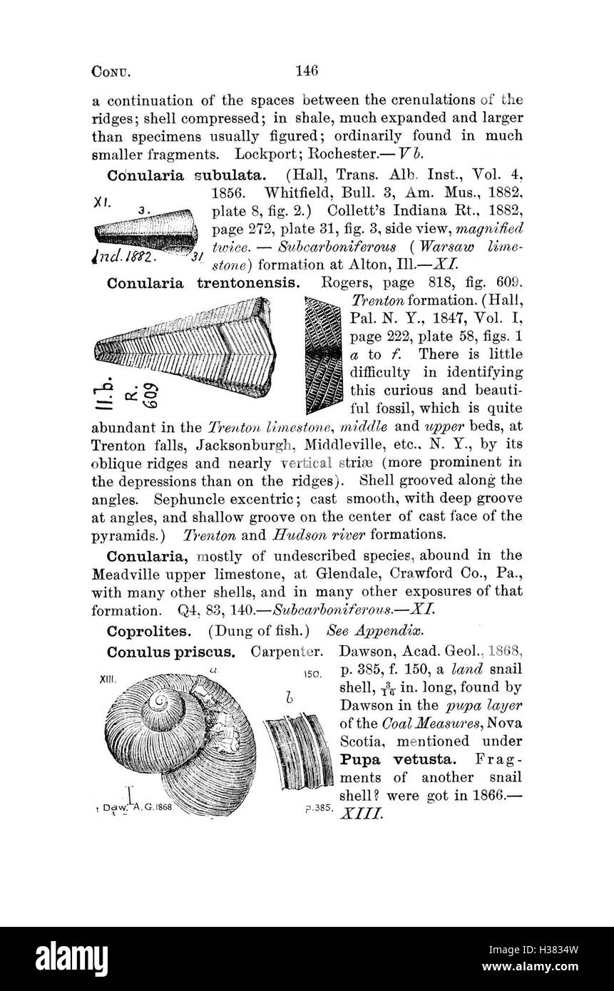 Questo dizionario fornisce un elenco alfabetico delle specie fossili trovate in Pennsylvania e negli stati circostanti, sulla base di rapporti e indagini provenienti da studi geologici regionali. Foto Stock
