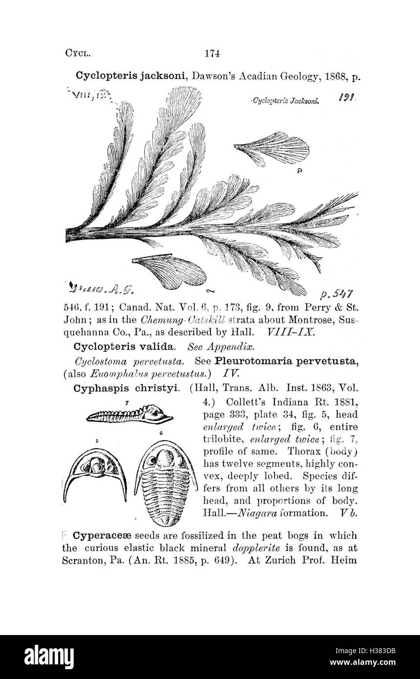 Questo dizionario compila e definisce le specie fossili identificate in Pennsylvania e negli stati vicini, sulla base di rapporti e indagini, offrendo approfondimenti sulla diversità paleontologica regionale. Foto Stock