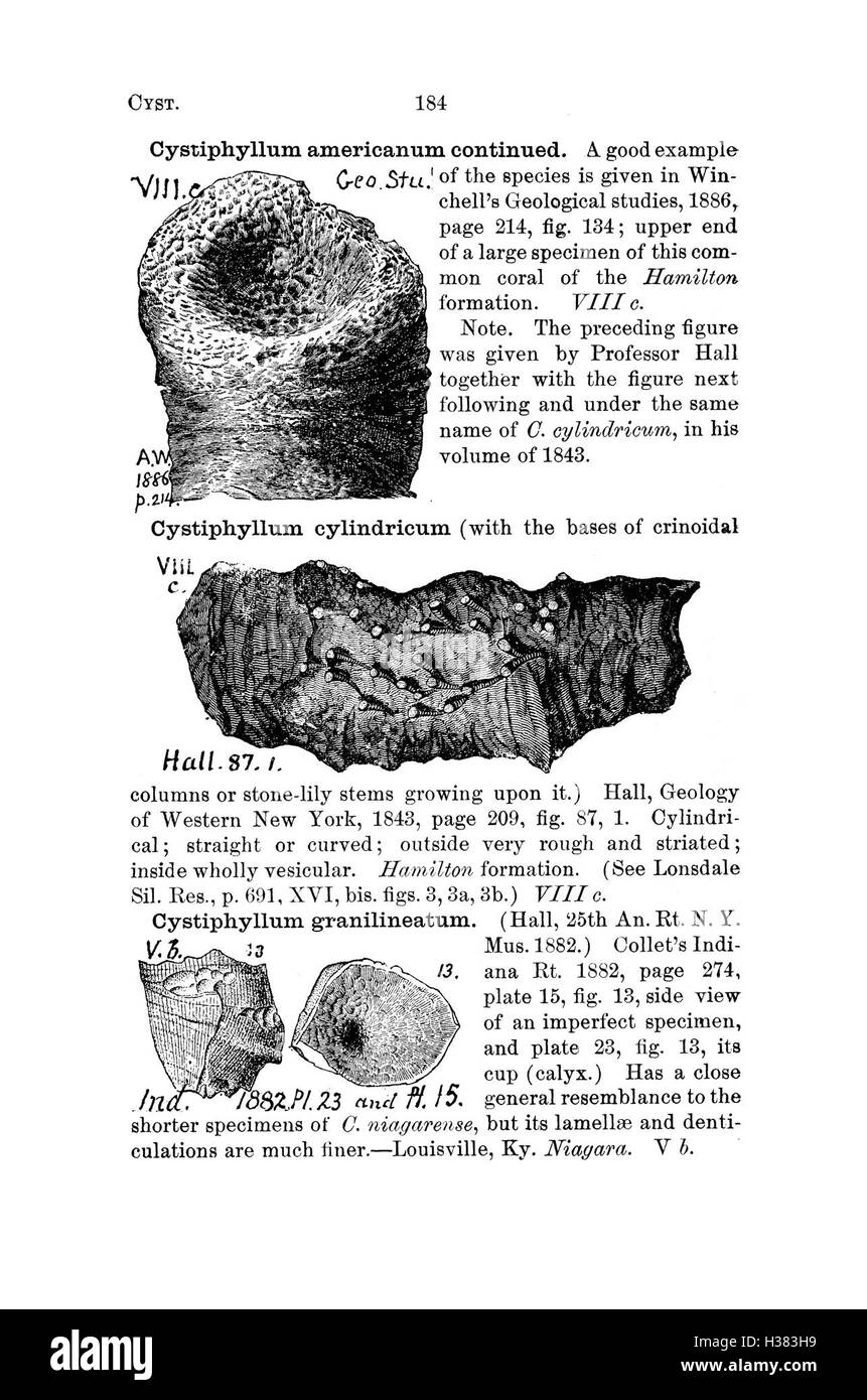 Questo dizionario cataloga i fossili trovati in Pennsylvania e negli stati circostanti, descrivendo dettagliatamente le specie fossili e il loro significato geologico, sulla base di rapporti di indagine e cataloghi. Foto Stock