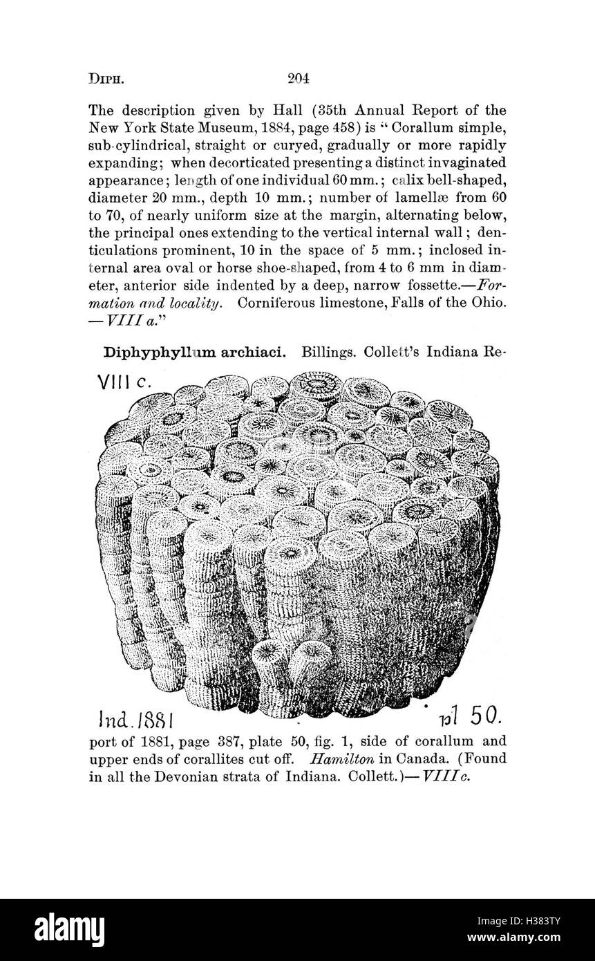 Questo dizionario compila le specie fossili trovate in Pennsylvania e negli stati vicini, fornendo un riferimento ai loro nomi scientifici e alla loro classificazione sulla base di rapporti di indagine e cataloghi. Foto Stock