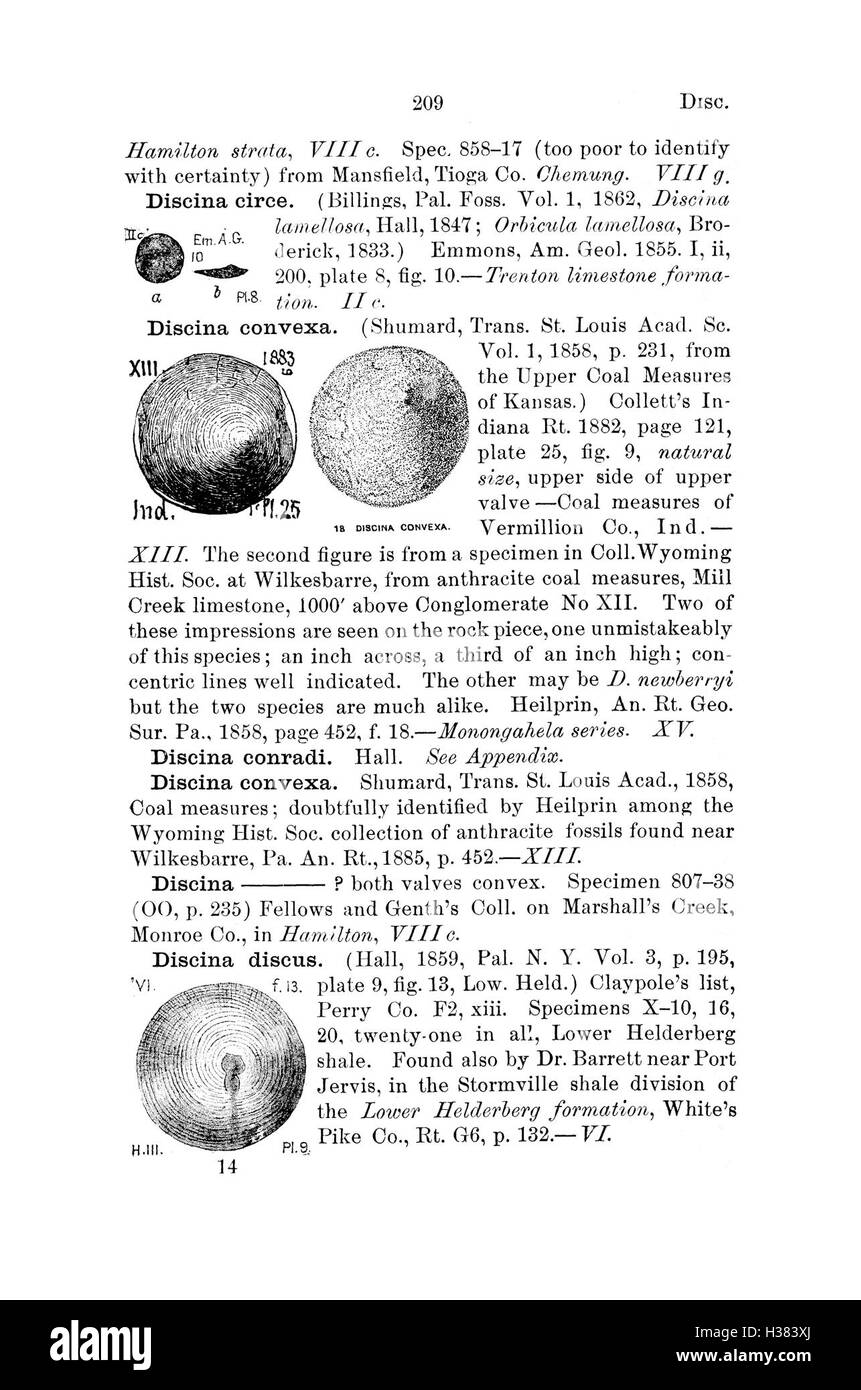 Questo dizionario raccoglie informazioni dettagliate sulle specie fossili trovate in Pennsylvania e nelle aree circostanti, sulla base di indagini scientifiche e cataloghi della regione. Foto Stock