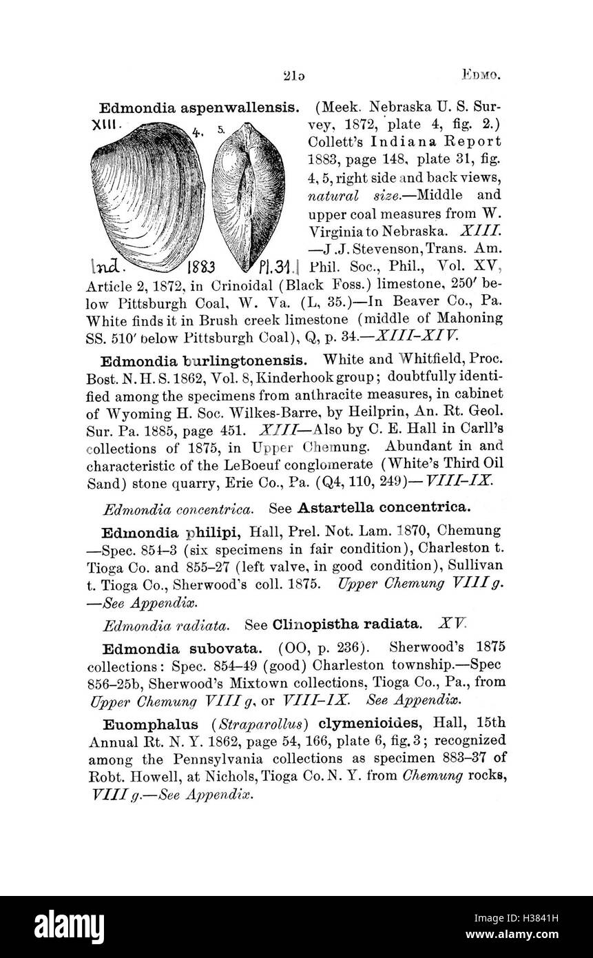 Questo dizionario fornisce voci dettagliate sulle specie fossili presenti in Pennsylvania e negli stati vicini, sulla base di indagini e cataloghi, con particolare attenzione a pagina 215. Foto Stock