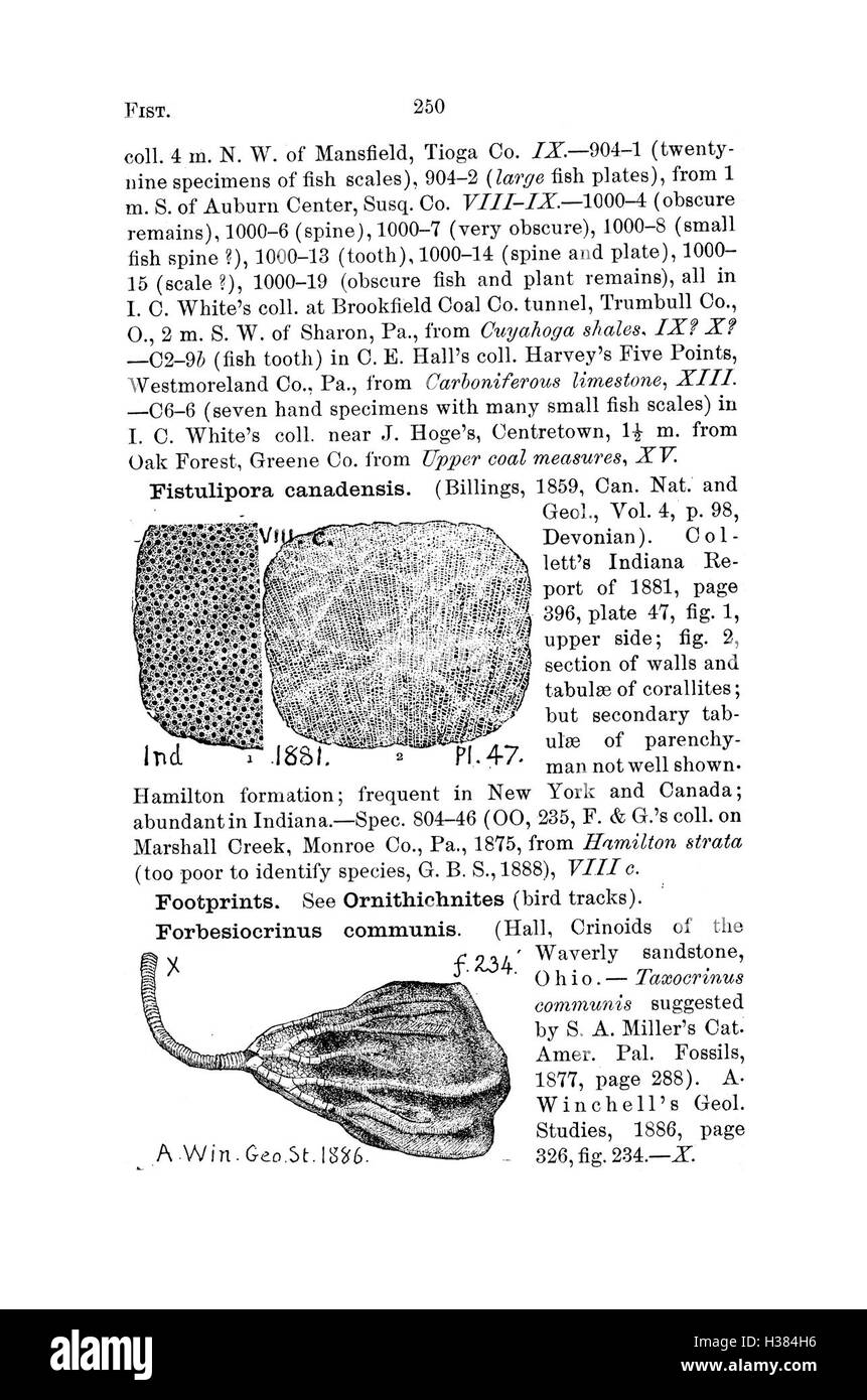 Un dizionario completo che cataloga i fossili trovati in Pennsylvania e negli stati circostanti, basato su rapporti e indagini. Include dettagli sui tipi fossili, le posizioni e il significato geologico. Foto Stock