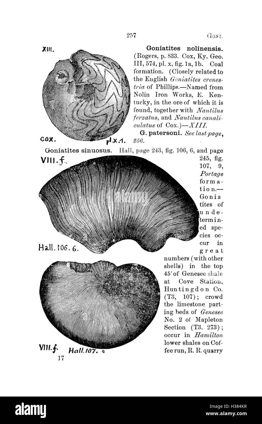 Questo dizionario cataloga i fossili trovati in Pennsylvania e nelle regioni vicine, sulla base di rapporti di indagine, fornendo dettagli tassonomici ed ecologici per ogni specie fossile, come indicato a pagina 257. Foto Stock