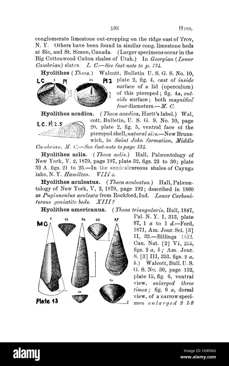 Questo dizionario compila i nomi e le descrizioni fossili trovati in Pennsylvania e negli stati vicini, sulla base di rapporti e cataloghi di indagini, servendo come guida completa per l'identificazione dei fossili nella regione. Foto Stock