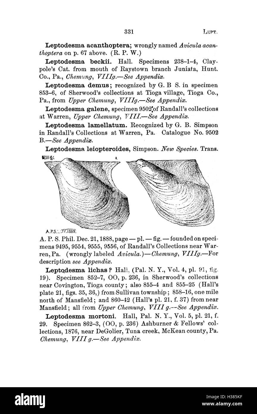 Questo dizionario elenca e descrive le specie fossili trovate in Pennsylvania e nelle regioni circostanti, sulla base di indagini scientifiche e cataloghi, offrendo un riferimento essenziale per i paleontologi. Foto Stock