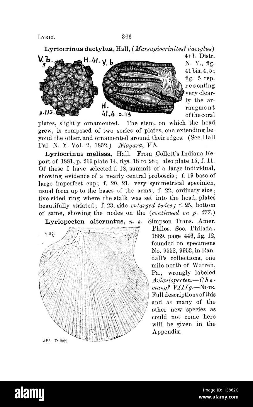 Questo dizionario fornisce un elenco organizzato e descrizioni di esemplari fossili trovati in Pennsylvania e negli stati circostanti. Si basa su relazioni e indagini condotte per catalogare le scoperte paleontologiche regionali. Foto Stock