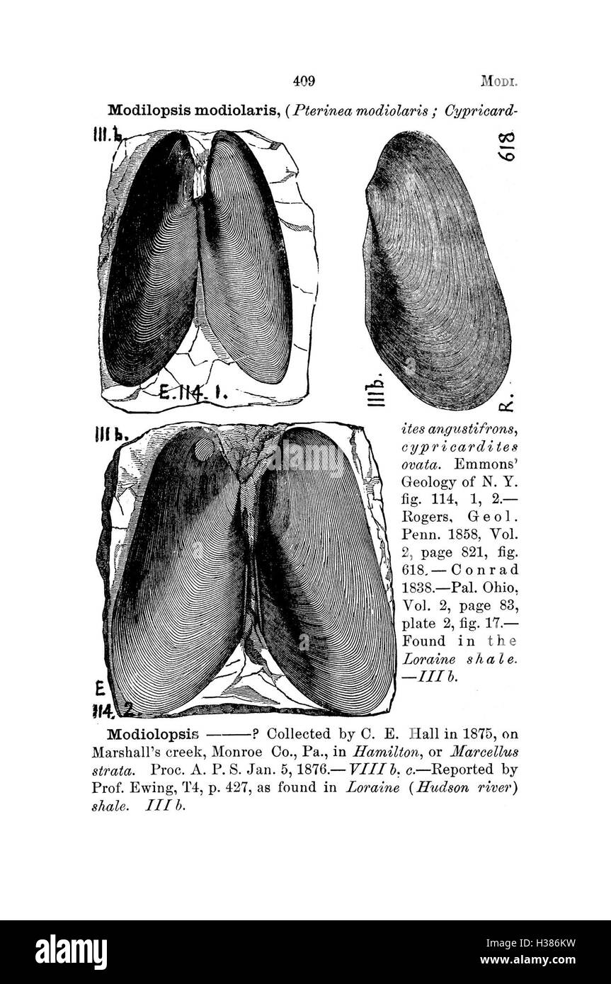 Questo dizionario fornisce un elenco dettagliato delle specie fossili trovate in Pennsylvania e nelle aree circostanti, sulla base delle indagini e dei rapporti geologici dello stato. Foto Stock