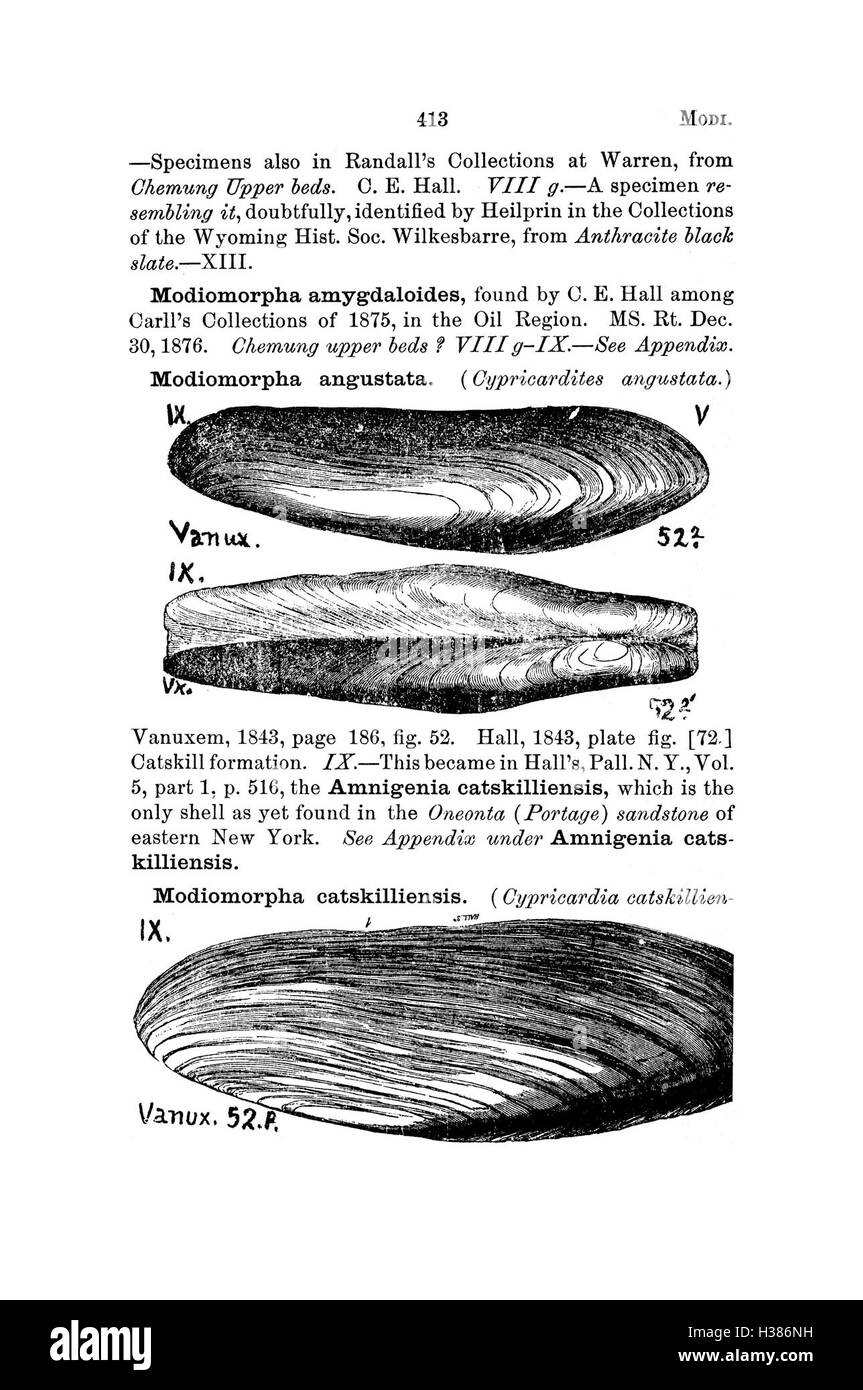 Questo dizionario cataloga fossili provenienti dalla Pennsylvania e dalle regioni circostanti, sulla base di rapporti e indagini sui ritrovamenti geologici e sulle specie fossili scoperte nell'area. Foto Stock