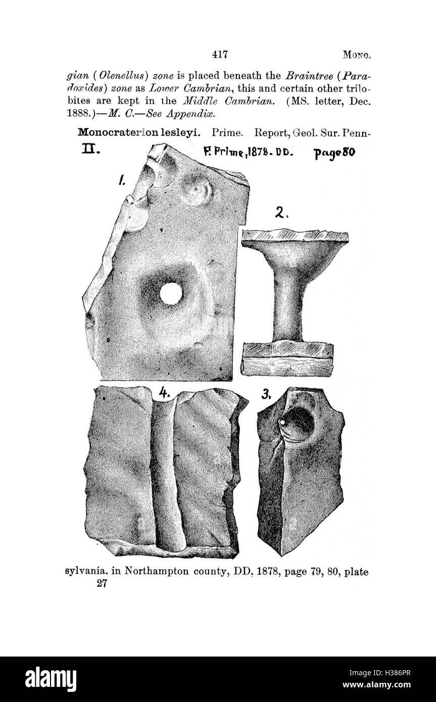 Questo dizionario compila le specie fossili identificate in Pennsylvania e negli stati vicini, sulla base di rapporti e cataloghi di indagini, fornendo un riferimento completo per i paleontologi. Foto Stock