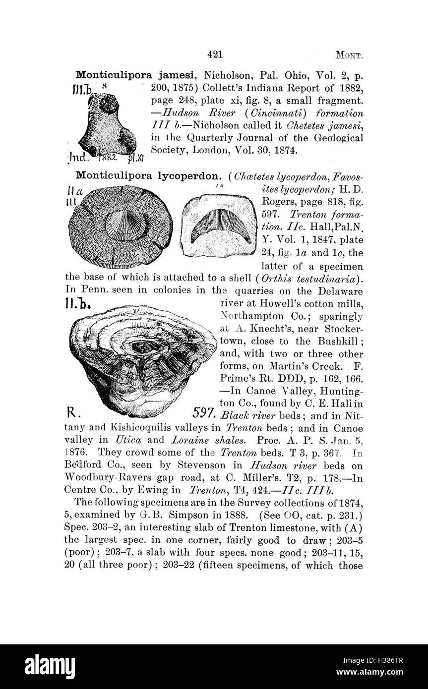 Questo dizionario cataloga le scoperte fossili in Pennsylvania e negli stati vicini, fornendo nomi, descrizioni e classificazioni in base ai rapporti di indagini geologiche. Foto Stock