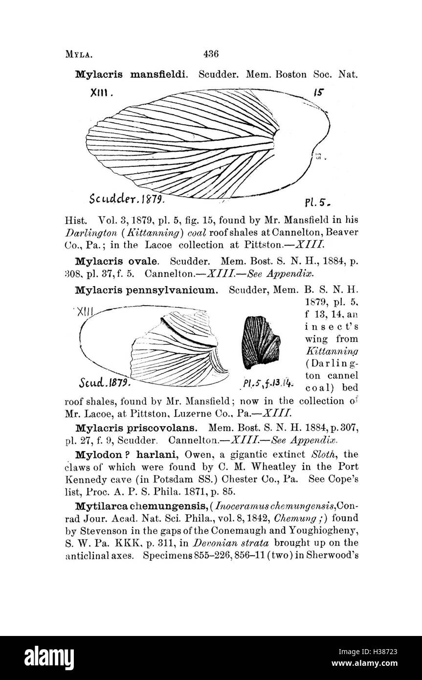 Questo dizionario elenca le specie fossili trovate in Pennsylvania e nelle regioni vicine, sulla base di dettagliati rapporti di indagine, offrendo una guida esaustiva all'identificazione e alla classificazione dei fossili. Foto Stock