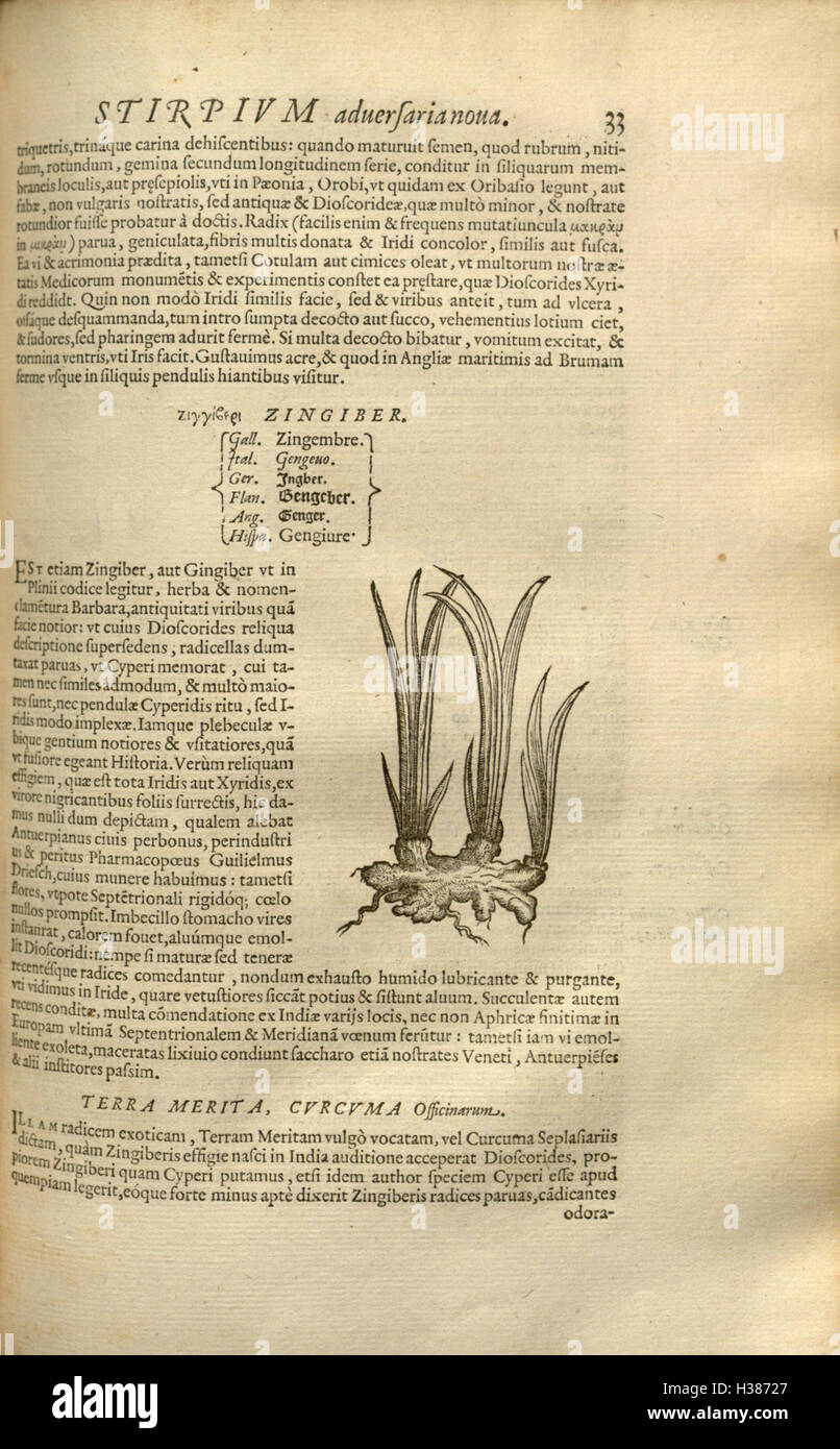 Questa pagina contiene un'opera botanica che descrive la storia e la classificazione delle piante, con un'enfasi sulle loro proprietà e usi medicinali. Foto Stock Questa pagina contiene un'opera botanica che descrive la storia e la classificazione delle piante, con un'enfasi sulle loro proprietà e usi medicinali. Foto Stock