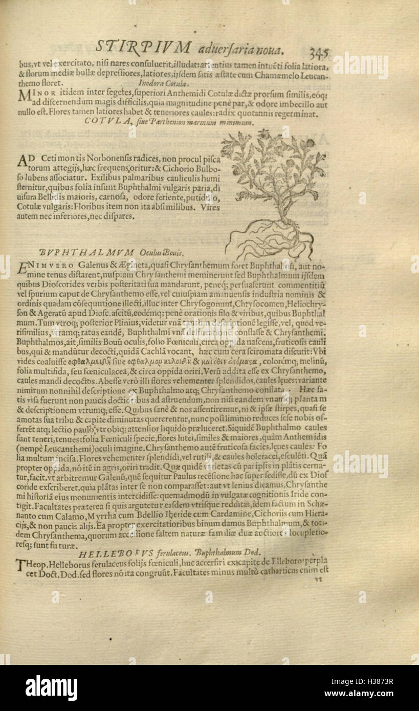 Questo classico lavoro botanico si concentra sulla storia e la classificazione delle piante, offrendo una guida completa alle specie vegetali, alle loro caratteristiche e agli usi medicinali. Foto Stock Questo classico lavoro botanico si concentra sulla storia e la classificazione delle piante, offrendo una guida completa alle specie vegetali, alle loro caratteristiche e agli usi medicinali. Foto Stock