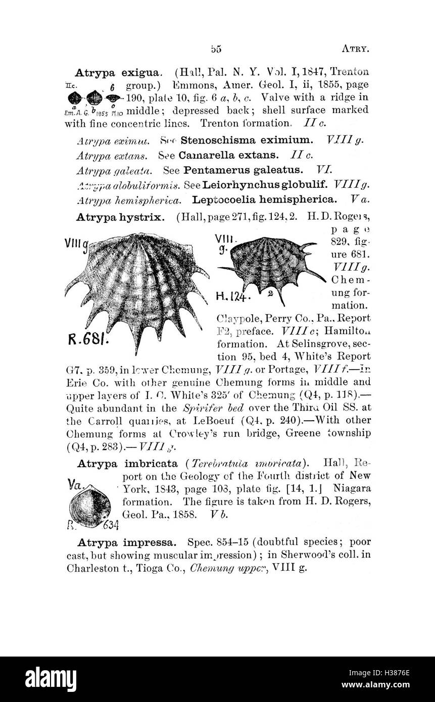 Questo dizionario raccoglie fossili provenienti dalla Pennsylvania e dagli stati circostanti, sulla base di rapporti di indagine. Si tratta di un riferimento importante per i paleontologi che ricercano la diversità fossile regionale. Foto Stock