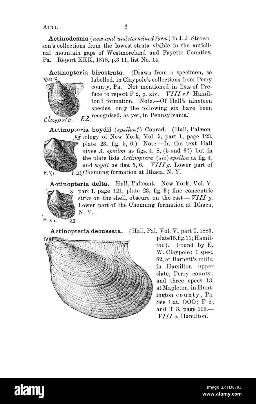 Questo lavoro di riferimento fornisce un vasto catalogo di specie fossili trovate in Pennsylvania e nelle regioni vicine, sulla base di indagini geologiche e rapporti scientifici. Foto Stock
